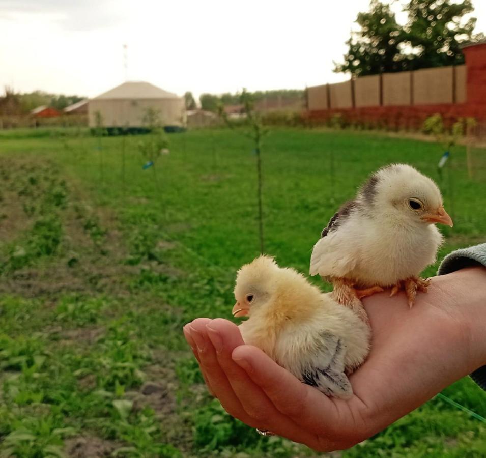 Jurtafarm Rackeve - A Nomad Luxus Hotel ภายนอก รูปภาพ
